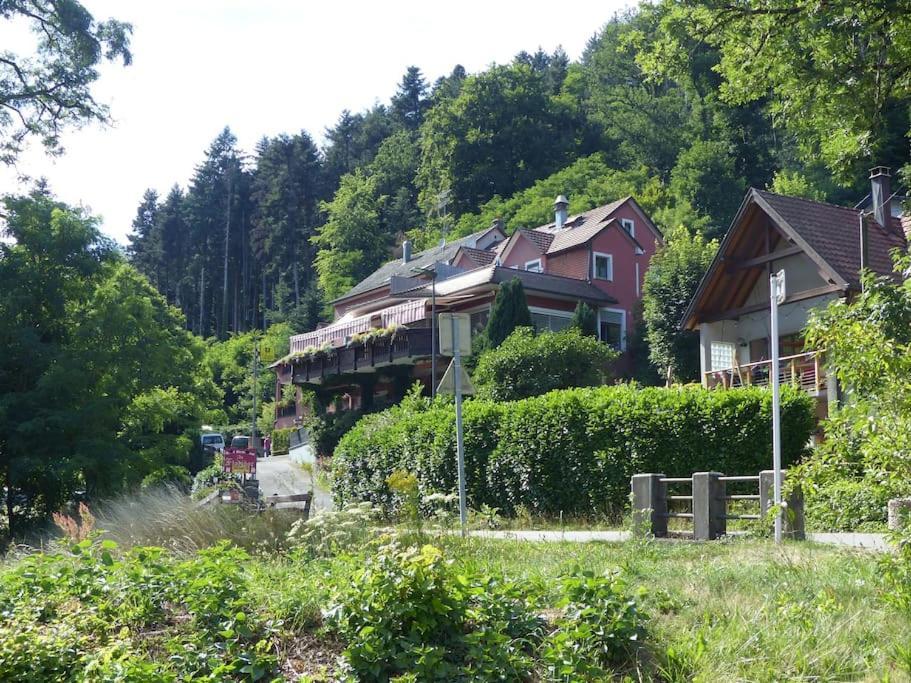 Appartement Entier Dans Un Ecrin De Verdure Thann Bagian luar foto