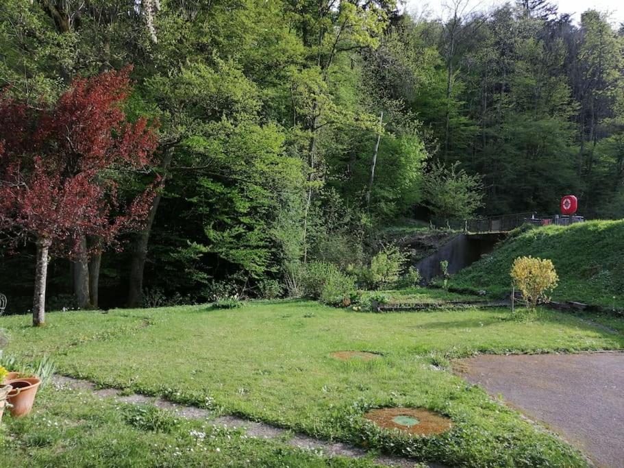 Appartement Entier Dans Un Ecrin De Verdure Thann Bagian luar foto