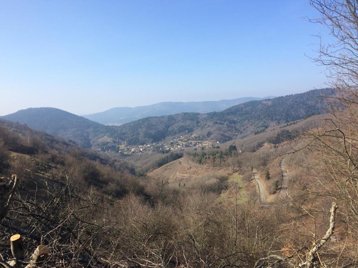 Appartement Entier Dans Un Ecrin De Verdure Thann Bagian luar foto