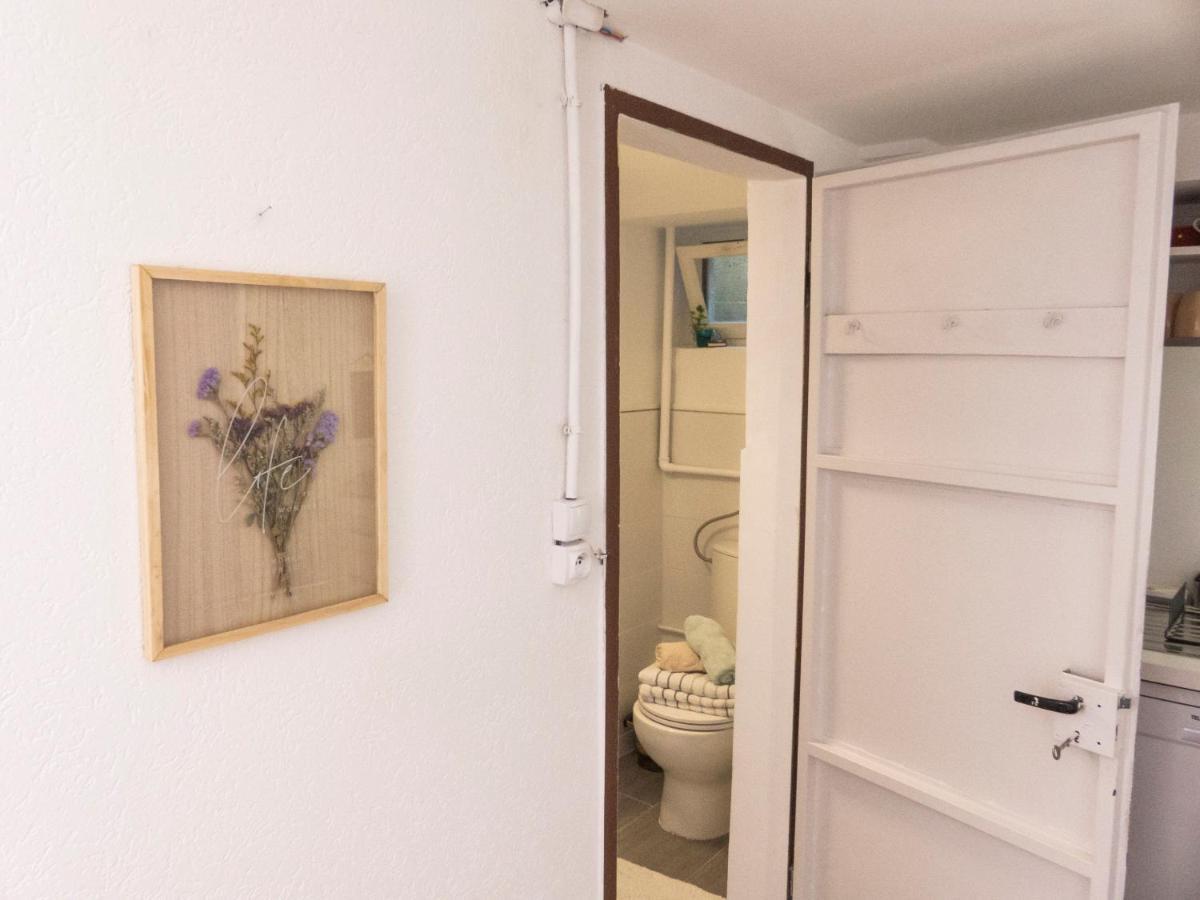 Appartement Entier Dans Un Ecrin De Verdure Thann Bagian luar foto