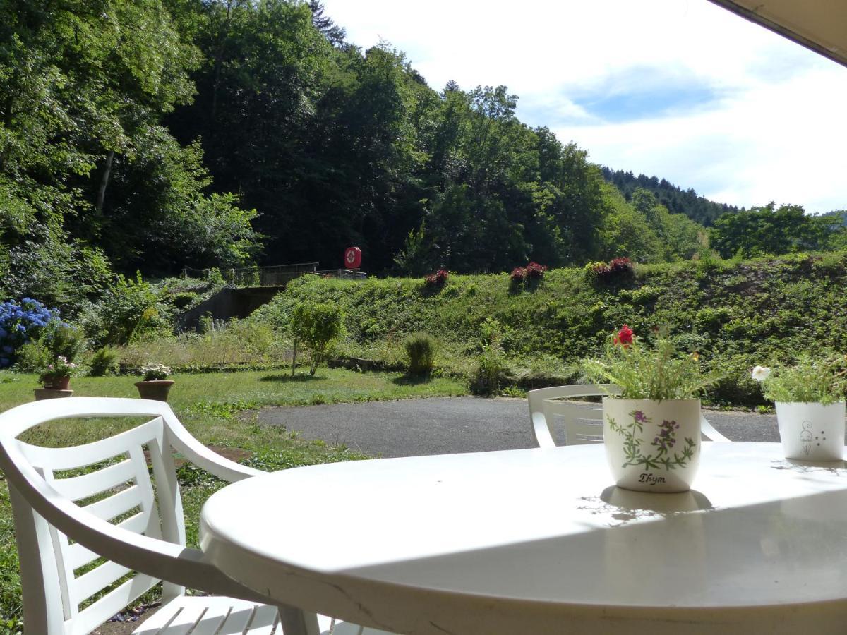 Appartement Entier Dans Un Ecrin De Verdure Thann Bagian luar foto
